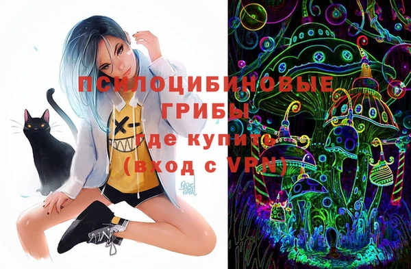герыч Ступино