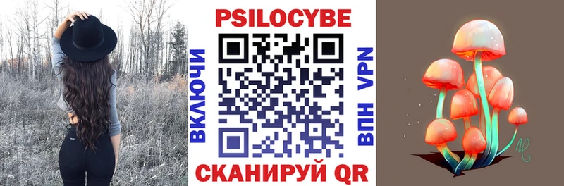 Псилоцибиновые грибы прущие грибы  Купить  Балтийск 
